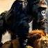 Lion Vs Gorilla Vs Tiger Animals Ai Shorts