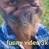 Funny Video 3k