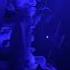 Dj Edms Techno Musicatechno Djremix Dubstep Djdubstep Remix Technodance Rave