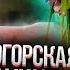 Черногорец Reacts To Мама Россия мама