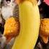 Chicken Banana Dance Chickenbanana Dance Meme Weirdvideos Funnyvideo