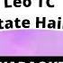 Leo TC Strainatate Haina Grea KARAOKE VERSURI