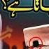 Roza Kin Kin Cheezon Se Toot Ta Hai Part 05 Rozay Kay Bare Me Ahem Maloomat Maulana Ilyas Qadri