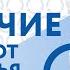 Список Собиратора Чем отличается мусор от вторсырья