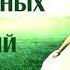 ПРАКТИКА АУТЕНТИЧНЫХ ДВИЖЕНИЙ Альбом телесных практик