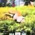 Far Cry 4 Bengal Tiger Attack