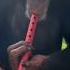 Limbani The Chimpanzee Plays Flute