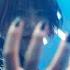 PassCode FLAVOR OF BLUE