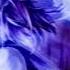 Nightcore Kaskade Ft Mindy Gledhill Eyes Kaskade S Ice Mix