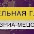Недельная глава Тазриа Мецора