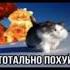 Тотально похуй