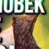 РЕАКЦИЯ НА РЕАКЦИЮ REBORN PROJECT НА Обзор Shrek 2 PC Game РЕАКЦИЯ на Sumochkin Production