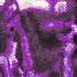 Yeat Narcoticz Feat Yung Kayo Slowed Reverb