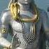 Shiva Shambo