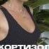 Проверь свой кортизол разверни описание кортизол пп гормоны гормональныйсбой нутрициолог