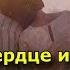 По каким меркам наше сердце и разум выбирают вторую половинку