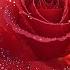 Beautiful Melody To Tears Music For The Soul Great Music By Sergey Grischuk 19