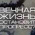 Нейросеть отвечает вечная жизнь конец для человечества не нейросеть вечнаяжизнь человечество