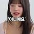 일본 예능에서 날아다닌다는 장원영 입담