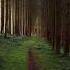 Take A Moment To Breathe Deeply And Embrace The Calm Nature Healing Mood Calm Peace