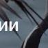 Природа которую мы можем потерять журавль красавка