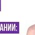 Ответственность руководителя по долгам компании новые правила