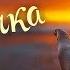 Песня 2018 Бабочка Клип по фильму Красотка Верю в любовь Автор Исполнитель Алексей Молодцов