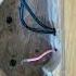 Rewelding Custom Bass Guitarwiring Batumiguitarrepair Batumi Sakartvelo