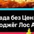 ПРАВДА БЕЗ ЦЕНЗУРЫ КТО ВИНОВАТ В ТОМ ЧТО ЛОС АНЖЕЛЕС СГОРЕЛ