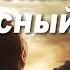 Бог спасибо за чудесный день