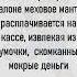 Женщина Приобретая манто В Магазине Sorts