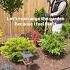 Rearranging Plants Today Details In Description Diy Landscape Garden Gardening Flowers