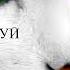Верный Кот Танцуй супер новинка 2022