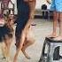 German Shepherd Dogs Crazy Growth Shorts Short