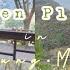 Hidden Places In Taichung Miaoli Pitu Cafe Elephant Trunk Indigenous Community