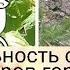 моя реальность словн сто костров горит