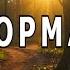 Информатор Истории деревни Безрадное