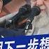 手撫核彈 伊朗17秒恐嚇片嗆 戰鬥才正要開始 以色列預告 給驚喜 呼應川普要德黑蘭快撤 新聞 樺 重點PODCAST TVBSNEWS01