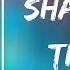 The Yardbirds Shapes Of Things Lyrics