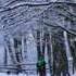 Let It Snow Dean Martin