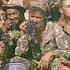 Don T Catch Flies Afgan