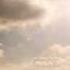 The Cat Empire Lost Song