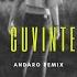 Cuvinte Extended Andaro Remix