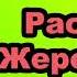 М А Шолохов Рассказ Жеребёнок Краткое содержание