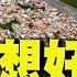 全程字幕 2同學遭撞亡 女學生痛哭惹鼻酸 泣不成聲 我們只想好好回家 我真的很後悔