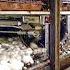How Mushrooms Are Grown Processed Modern Mushrooms Farming Technology Food Factory