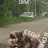 самый грустный момент с детства
