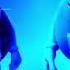 M M S Show Your Peanut 2011 Hungary Effects Fen TV CM Bumper 2003 2012 Effects EXTENDED V4