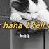Sorry Haha I Fell Asleep Egg