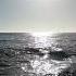 Red Sea Duba Ksa Dj Remix Song Newmusic Foryou Fish Traphiphop Musicgenre Travel Music
